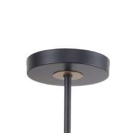 Потолочная люстра 2844-8P