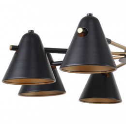 Потолочная люстра 2844-8P