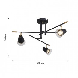 Потолочная люстра 4618-3C