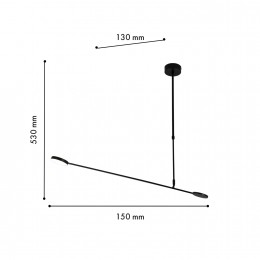 Потолочный светильник 4572-1C