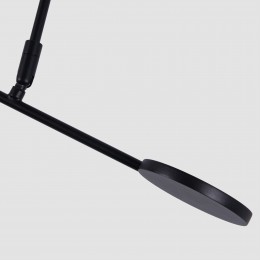 Потолочный светильник 4572-1C