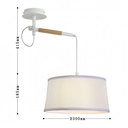 Настенно-потолочный светильник 3005-1P