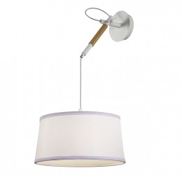 Настенно-потолочный светильник 3005-1P