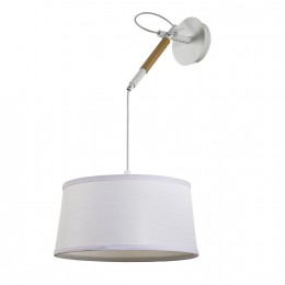 Настенно-потолочный светильник 3005-1P