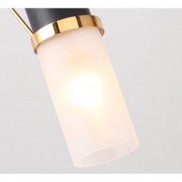 Настенный светильник 2558-1W