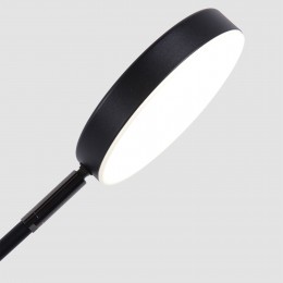 Настольный светильник 4572-1T