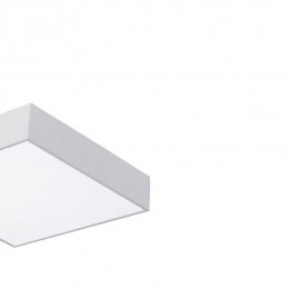 Потолочный светильник 2066-24C