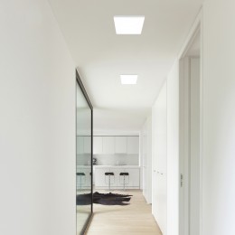 Потолочный светильник 2066-24C