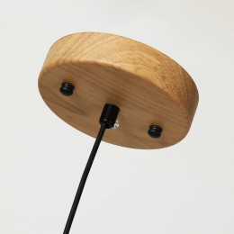 Подвес 2015-1P