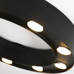 Потолочная люстра 3007-9U