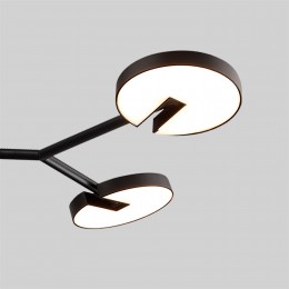 Потолочная люстра 4401-6C