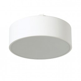 Потолочный светильник 1515-2C