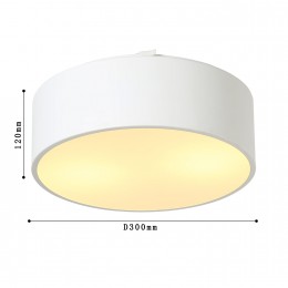 Потолочный светильник 1515-2C