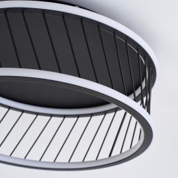 Потолочный светильник 4436-2C