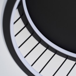 Потолочный светильник 4436-2C