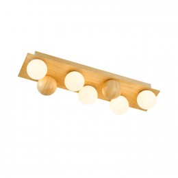 Потолочный светильник 4695-5C