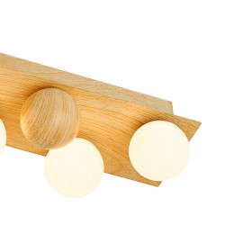 Потолочный светильник 4695-5C