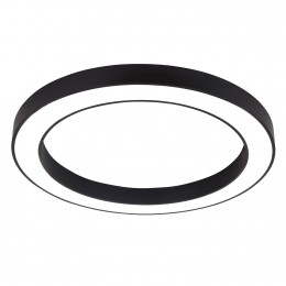 Потолочный светильник 4856-1P