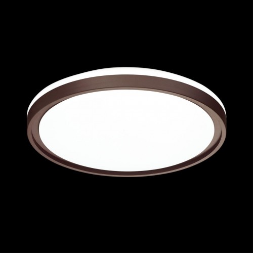 Настенно-потолочный светильник SONEX 3044/CL