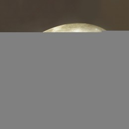 Настенно-потолочный светильник SONEX 3084/CLN