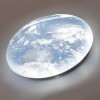 Настенно-потолочный светильник SONEX 3085/DL