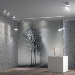 Светильник накладной светодиодный NOVOTECH 358749