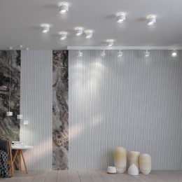 Светильник накладной светодиодный с переключателем цветовой температуры NOVOTECH 358970