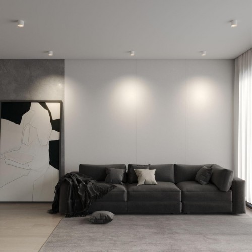 Светильник накладной светодиодный с переключателем цветовой темперетуры NOVOTECH 359592