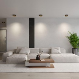 Светильник накладной светодиодный с переключателем цветовой темперетуры NOVOTECH 359599