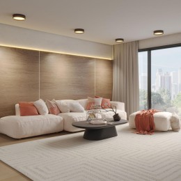 Светильник накладной светодиодный с переключателем цветовой темперетуры NOVOTECH 359601