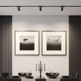 Светильник трековый однофазный двухжильный светодиодный NOVOTECH 359804