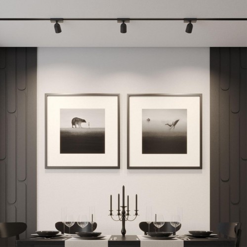 Светильник трековый однофазный двухжильный светодиодный NOVOTECH 359804