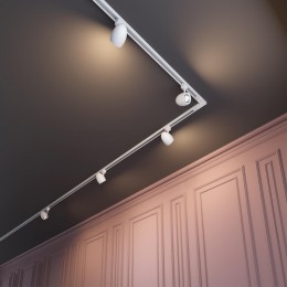 Светильник трековый однофазный трехжильный NOVOTECH 370546