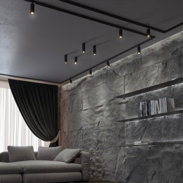 Светильник трековый для однофазного двухжильного (универсального) шинопровода NOVOTECH 370863