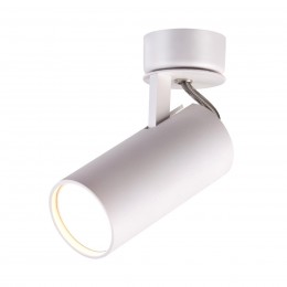Светильник потолочный ODEON LIGHT 3873/1C