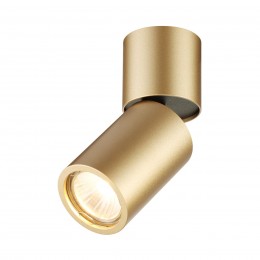 Настенно-потолочный светильник ODEON LIGHT 3895/1C