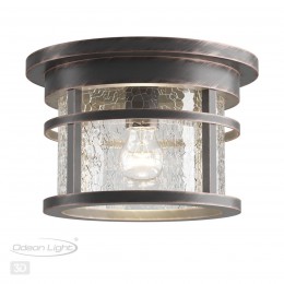 Уличный потолочный светильник ODEON LIGHT 4044/1C