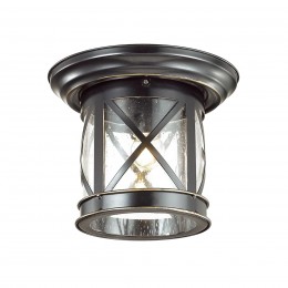 Уличный потолочный светильник ODEON LIGHT 4045/1C