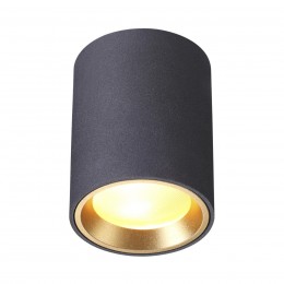Потолочный светильник ODEON LIGHT 4205/1C