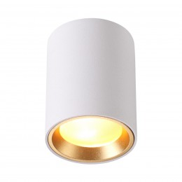 Потолочный светильник ODEON LIGHT 4206/1C