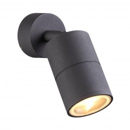 Потолочный светильник ODEON LIGHT 4207/1C