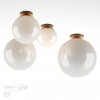 Потолочный накладной светильник ODEON LIGHT 4247/1C
