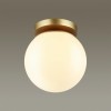 Потолочный накладной светильник ODEON LIGHT 4247/1C