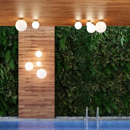 Потолочный накладной светильник ODEON LIGHT 4248/1C