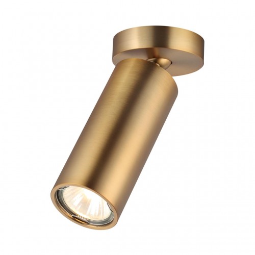 Потолочный накладной светильник ODEON LIGHT 4279/1C