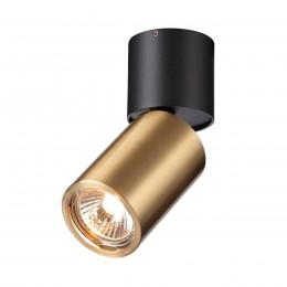 Потолочный светильник ODEON LIGHT 4280/1C