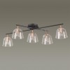 Люстра потолочная LUMION 4455/5C