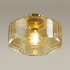 Светильник потолочный ODEON LIGHT 4747/1C