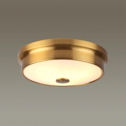 Настенно-потолочный светильник ODEON LIGHT 4824/3C