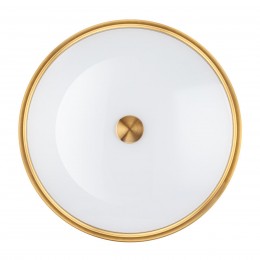 Настенно-потолочный светильник ODEON LIGHT 4824/4C